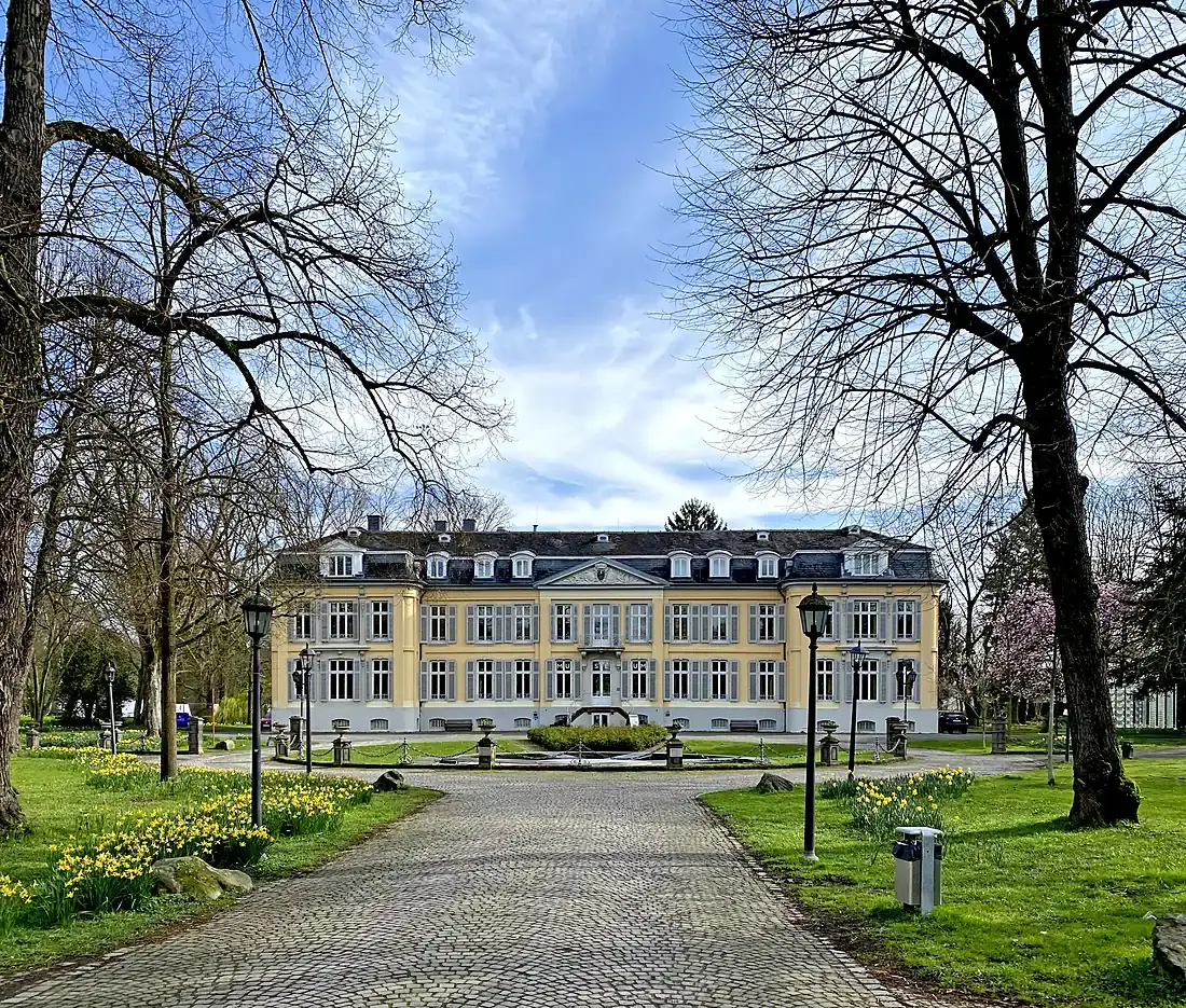 Schloss Morsbroich in Leverkusen mit gelber Fassade und Mansarddach, davor ein Pflasterweg und kahle Bäume im Frühjahr